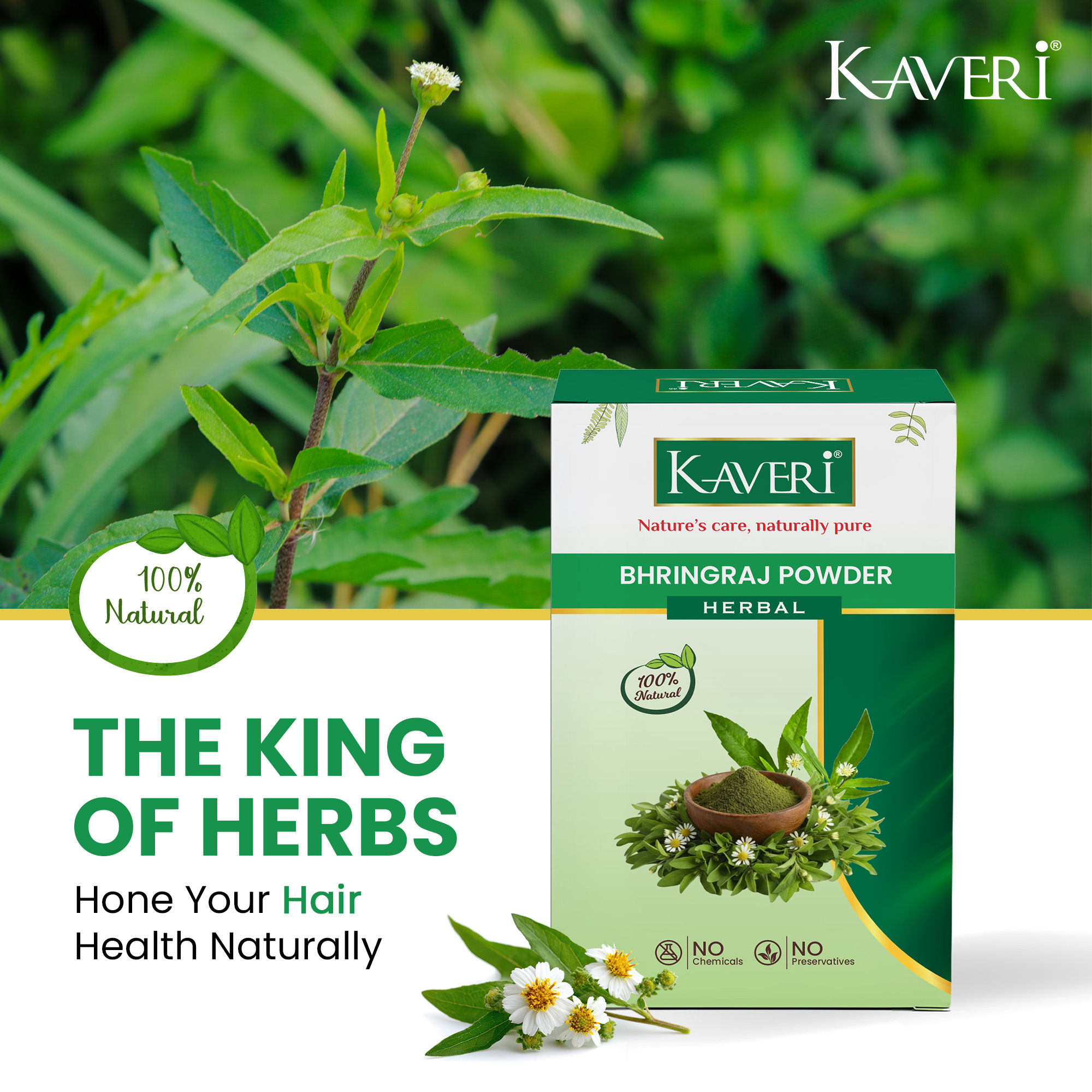 Kaveri Bhringraj Powder for Hair Growth & Scalp Care | Natural Herbal Powder | Helps Reduce Hair Fall & Dandruff | Chemical & Preservative Free | Ayurvedic Hair Care Powder 200g - Image 8